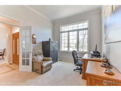 1502 Yonkee Dr, Windsor, CO 80550 photo 17