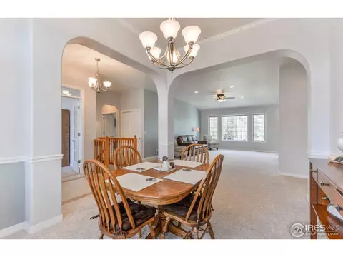 1502 Yonkee Dr, Windsor, CO 80550 photo 7