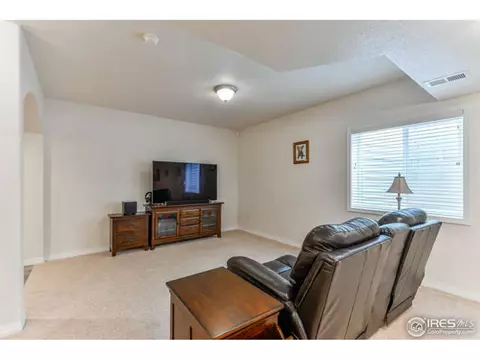 1502 Yonkee Dr, Windsor, CO 80550 photo 28
