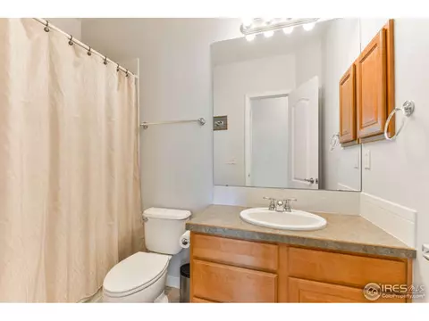 1502 Yonkee Dr, Windsor, CO 80550 photo 22