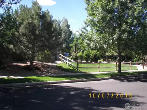 1502 Yonkee Dr, Windsor, CO 80550 photo 39