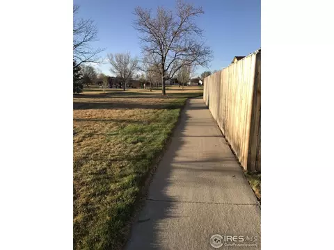 220 Sandstone Ct, Windsor, CO 80550 photo 31