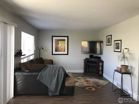 220 Sandstone Ct, Windsor, CO 80550 photo 12