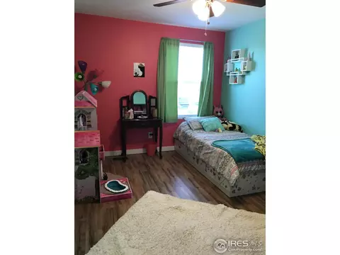 220 Sandstone Ct, Windsor, CO 80550 photo 18