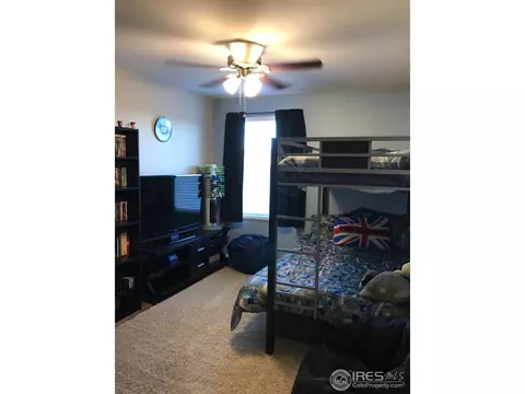 220 Sandstone Ct, Windsor, CO 80550 photo 17