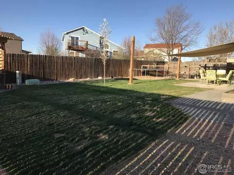 220 Sandstone Ct, Windsor, CO 80550 photo 24
