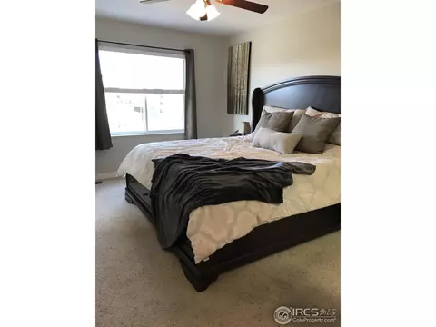 220 Sandstone Ct, Windsor, CO 80550 photo 19