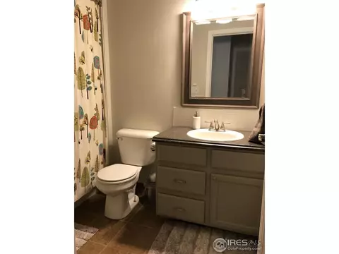 220 Sandstone Ct, Windsor, CO 80550 photo 16