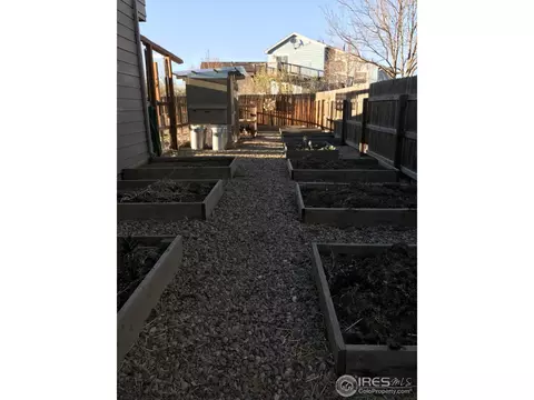 220 Sandstone Ct, Windsor, CO 80550 photo 28
