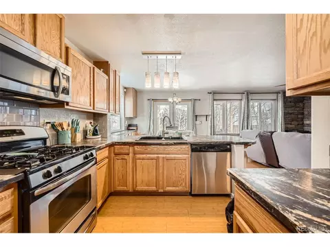 4666 Cornish Way, Denver, CO 80239 photo 4