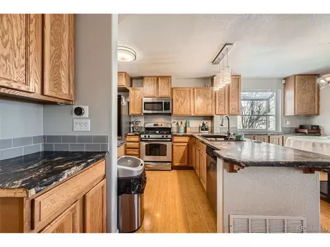 4666 Cornish Way, Denver, CO 80239 photo 3