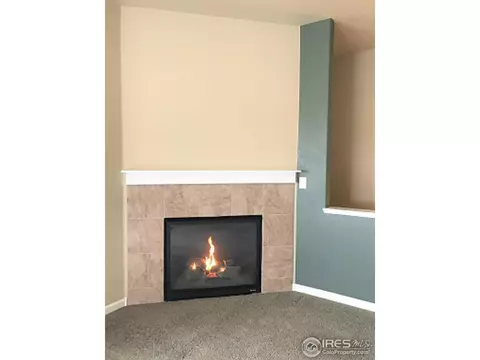 764 Saddleback Dr, Milliken, CO 80543 photo 10