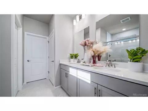 Bath - 28689 E 4th Pl, Watkins, CO 80137 photo 6 of 6