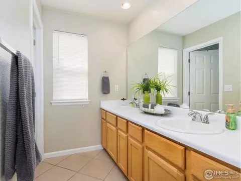 11844 Eudora Dr, Thornton, CO 80233 photo 15