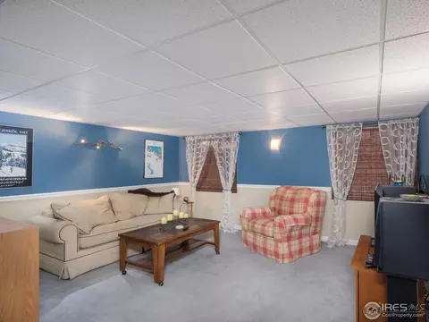11844 Eudora Dr, Thornton, CO 80233 photo 21