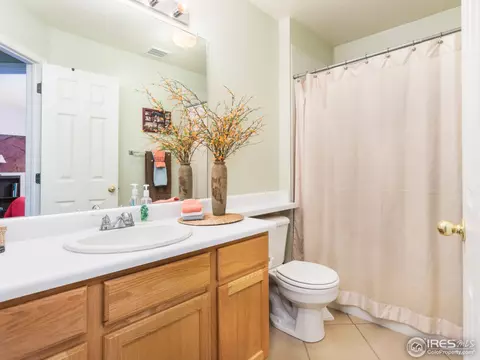 11844 Eudora Dr, Thornton, CO 80233 photo 20