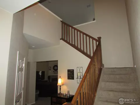 635 Clarendon Dr, Windsor, CO 80550 photo 20
