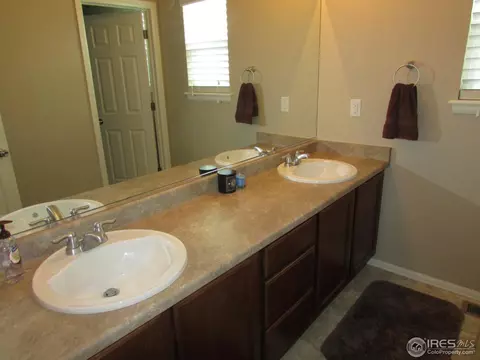 635 Clarendon Dr, Windsor, CO 80550 photo 19