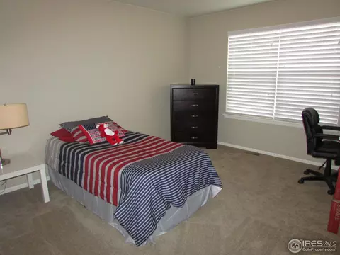 635 Clarendon Dr, Windsor, CO 80550 photo 18