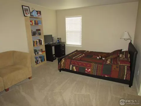 635 Clarendon Dr, Windsor, CO 80550 photo 16