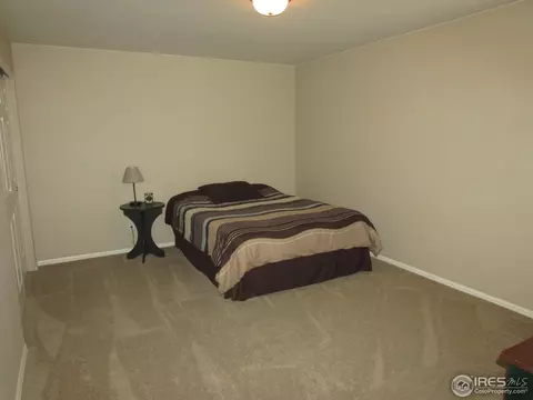 635 Clarendon Dr, Windsor, CO 80550 photo 17