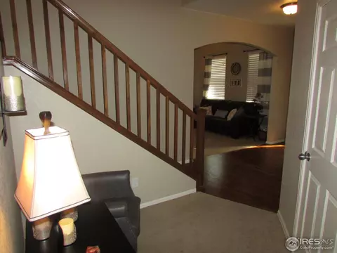 635 Clarendon Dr, Windsor, CO 80550 photo 10