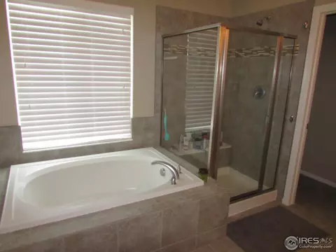 635 Clarendon Dr, Windsor, CO 80550 photo 13