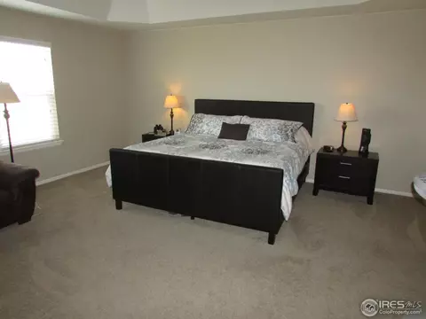 635 Clarendon Dr, Windsor, CO 80550 photo 12