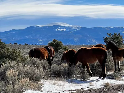 80 Elk Ln, San Luis, CO 81152