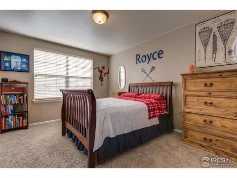 5685 Foxfire St, Timnath, CO 80547 photo 18