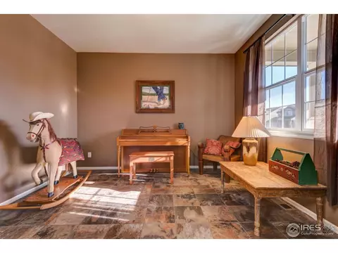 5685 Foxfire St, Timnath, CO 80547 photo 10