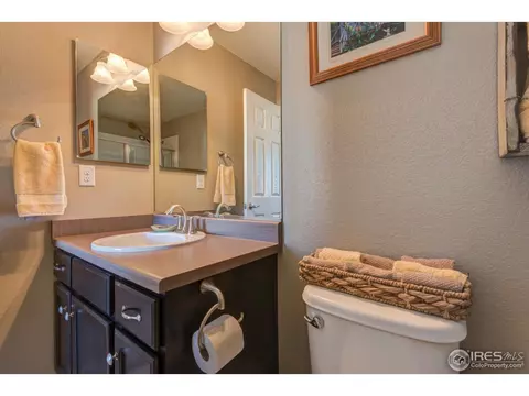 5685 Foxfire St, Timnath, CO 80547 photo 17