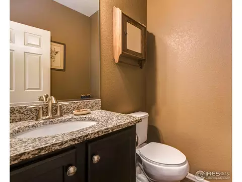 5685 Foxfire St, Timnath, CO 80547 photo 11