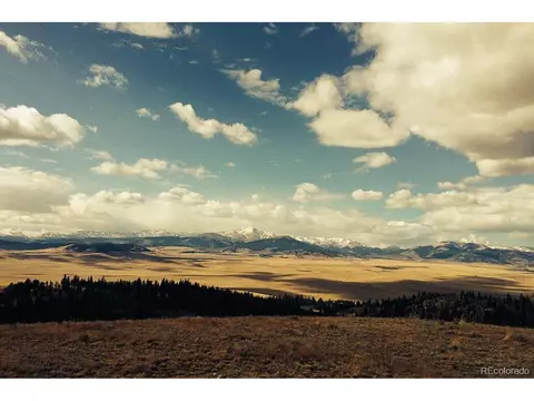 1185 County Road 734, Fairplay, CO 80440