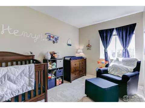 65 Chestnut St, Windsor, CO 80550 photo 18