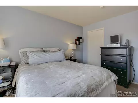 65 Chestnut St, Windsor, CO 80550 photo 15