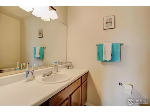 65 Chestnut St, Windsor, CO 80550 photo 17