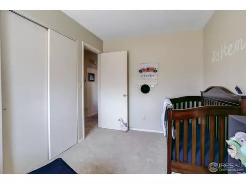 65 Chestnut St, Windsor, CO 80550 photo 19