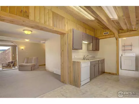 123 County Road 25, Divide, CO 80814 photo 17