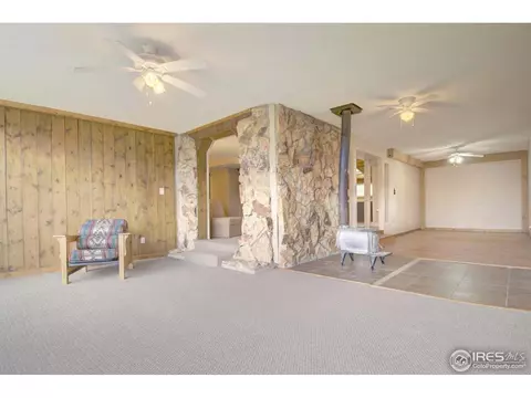 123 County Road 25, Divide, CO 80814 photo 6