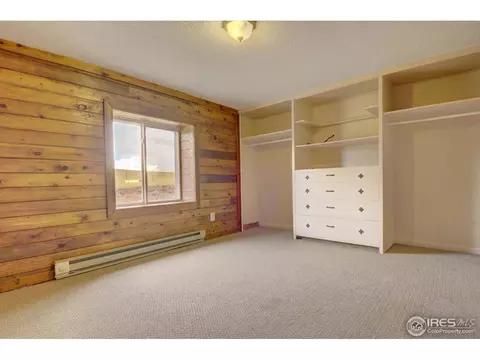 123 County Road 25, Divide, CO 80814 photo 12