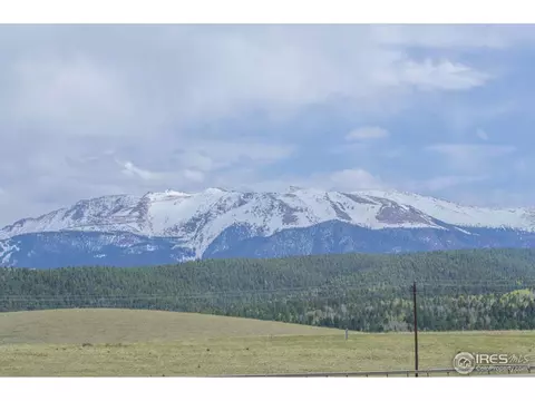 123 County Road 25, Divide, CO 80814 photo 5