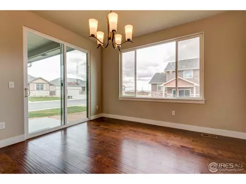 876 Shade Tree Dr, Windsor, CO 80550 photo 15