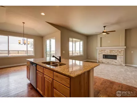 876 Shade Tree Dr, Windsor, CO 80550 photo 23