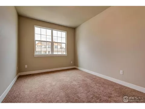 876 Shade Tree Dr, Windsor, CO 80550 photo 6