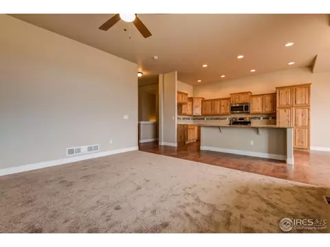 876 Shade Tree Dr, Windsor, CO 80550 photo 32