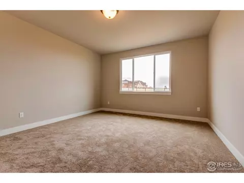 876 Shade Tree Dr, Windsor, CO 80550 photo 9