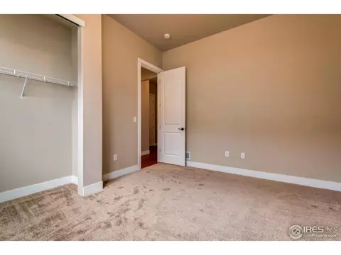 876 Shade Tree Dr, Windsor, CO 80550 photo 12