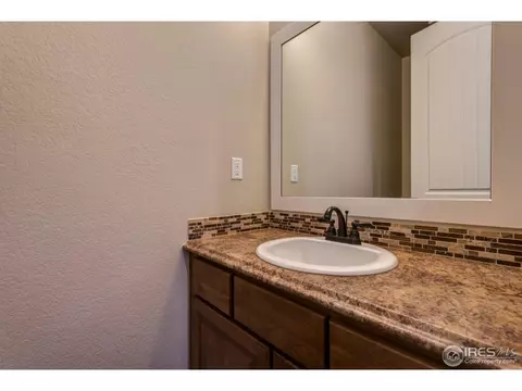 876 Shade Tree Dr, Windsor, CO 80550 photo 4