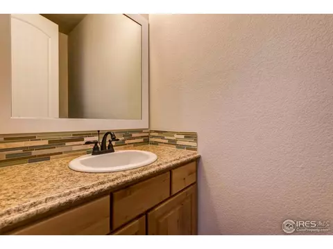 876 Shade Tree Dr, Windsor, CO 80550 photo 5
